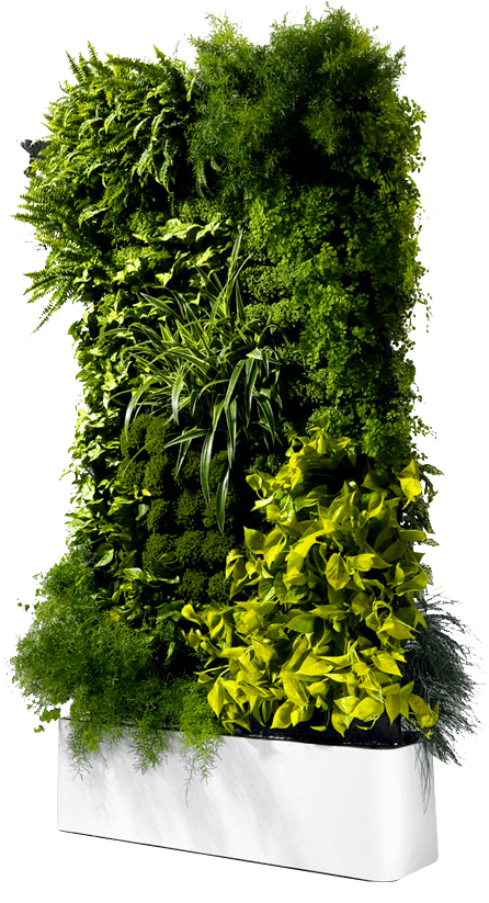 Производство систем вертикального озеленения GREEN WALL